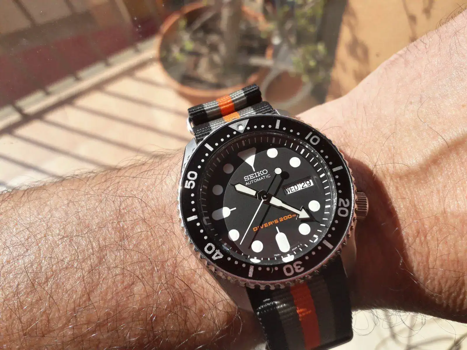 skx foro.webp