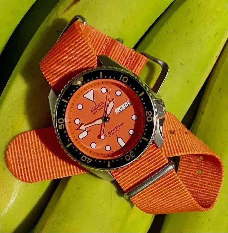 SKX011 2.webp