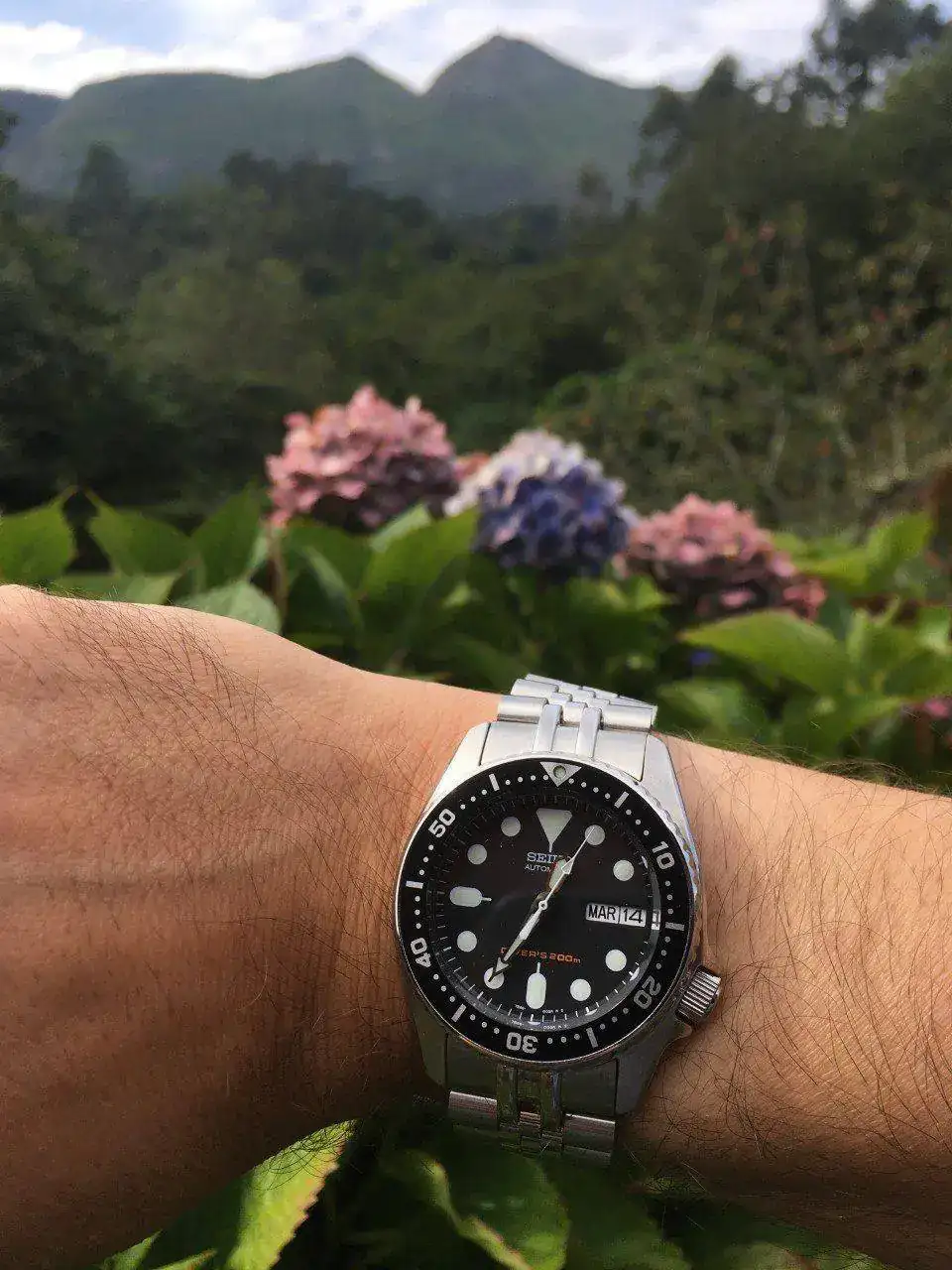 SKX013.webp