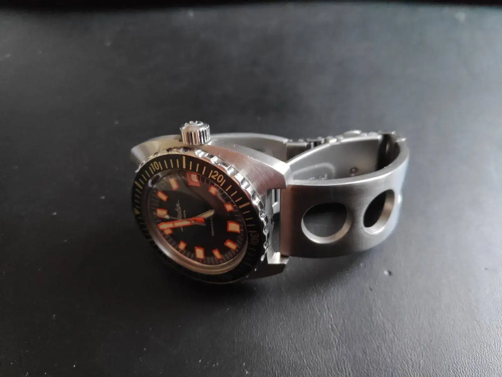 Slava amphibia1.webp