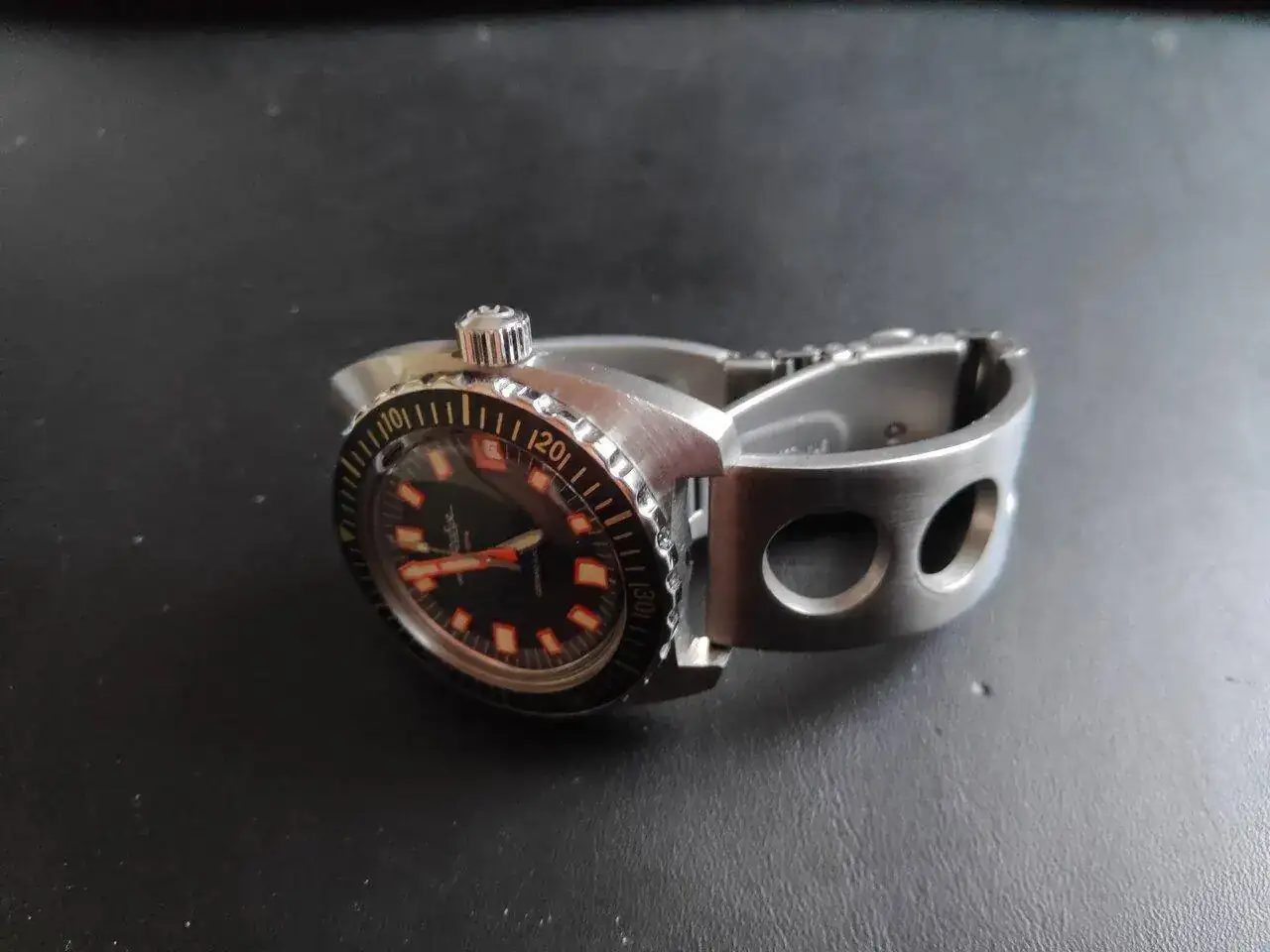 Slava amphibia1.webp