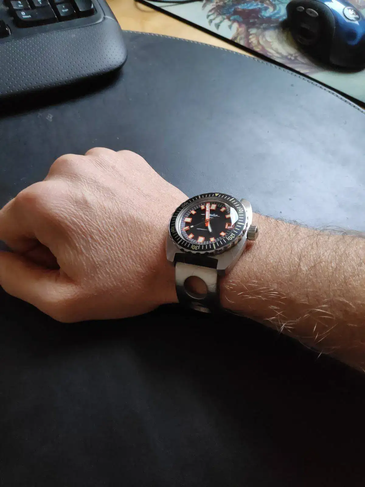 Slava amphibia2.webp