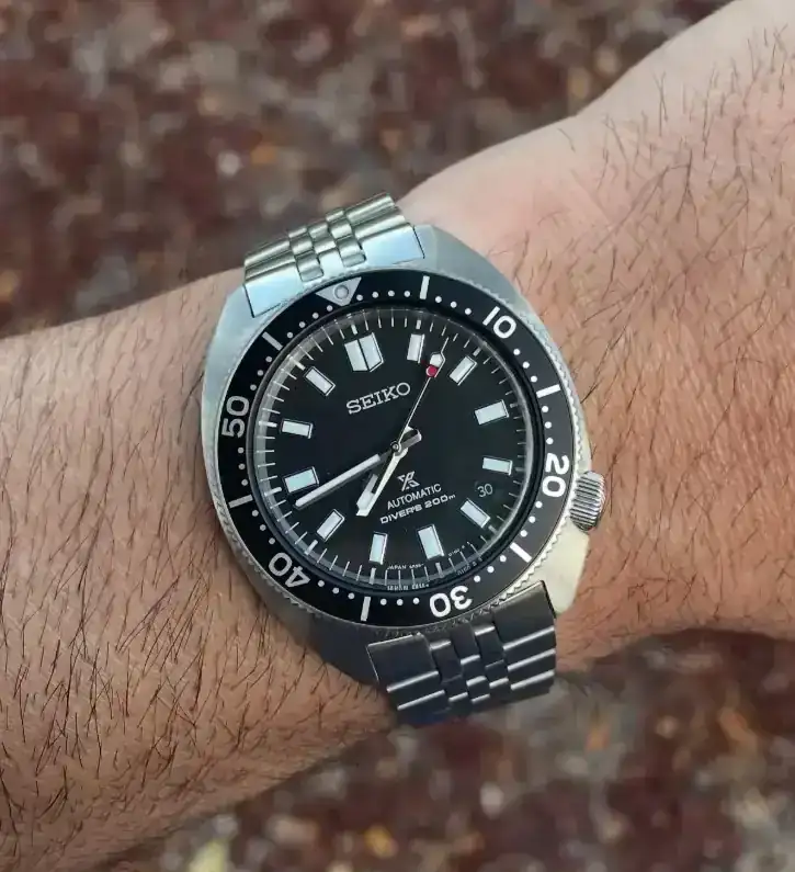 SLIM WILLARD OYSTER.webp