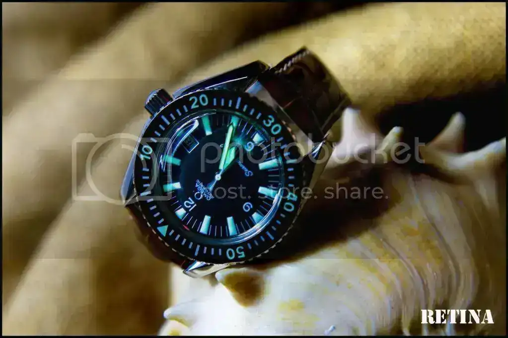 SM03.webp