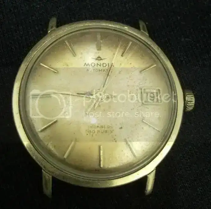SNC00097-2.webp