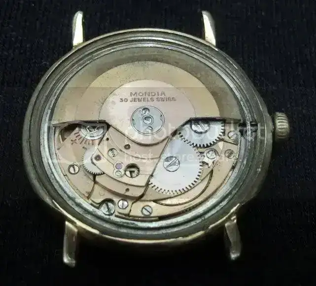SNC00101-1.webp