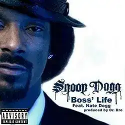 Snoop_dogg_boss_life.webp