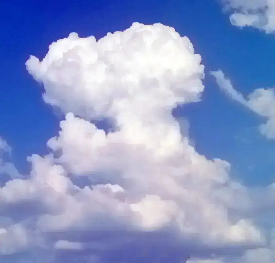 snoopy.webp