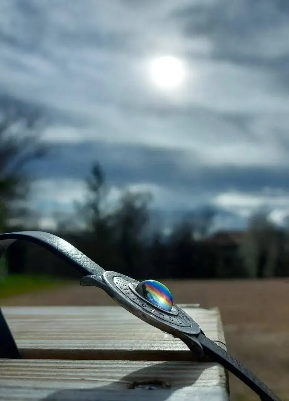 SOL20240310_101108 (1).webp