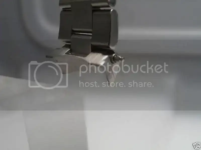 solidseiko.webp