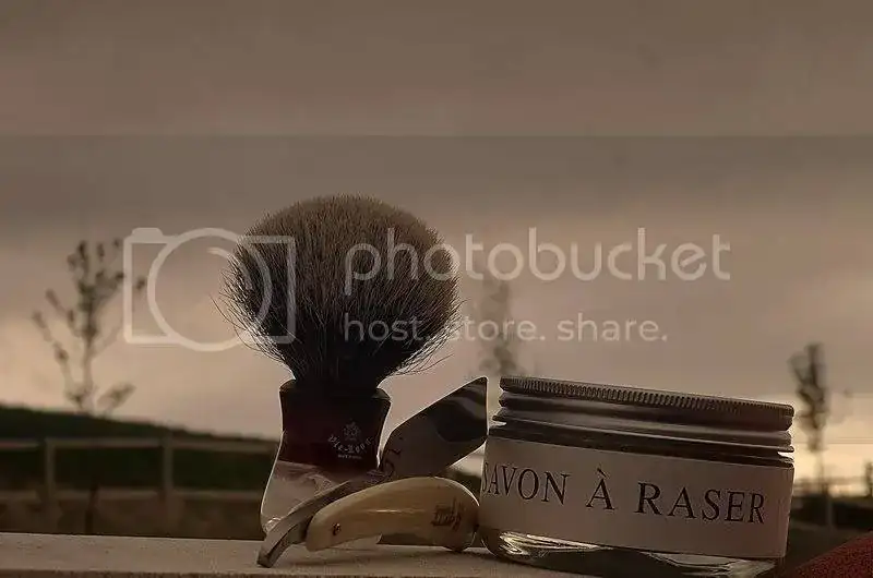 sotd110411.webp