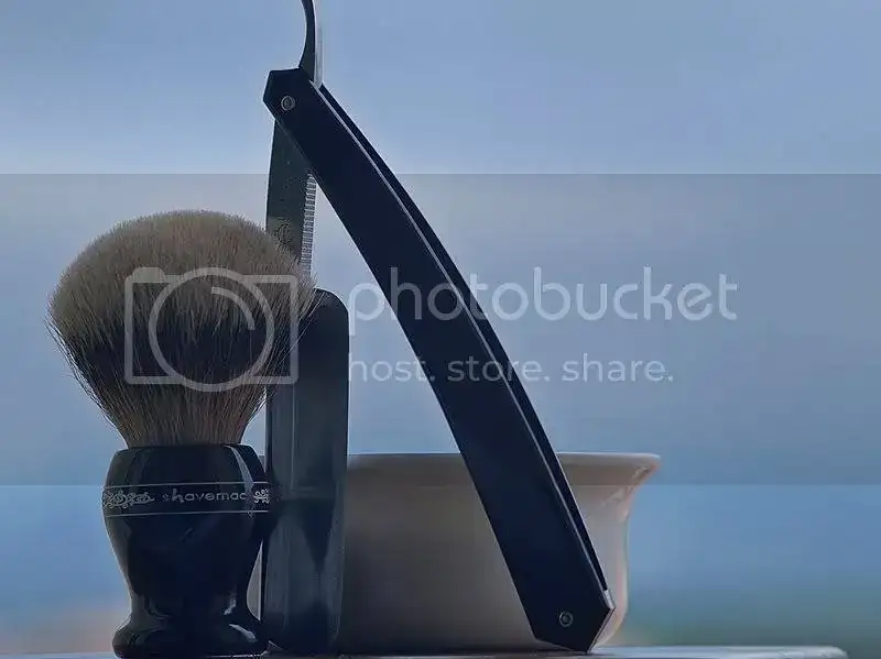 sotd120411.webp