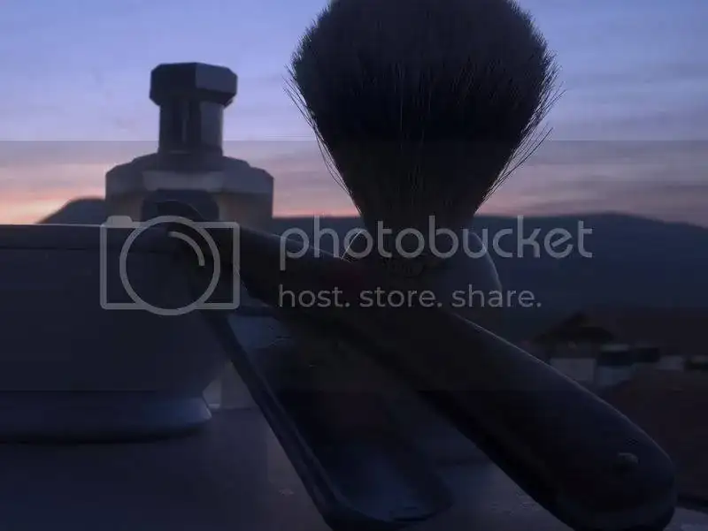 sotd130411.webp