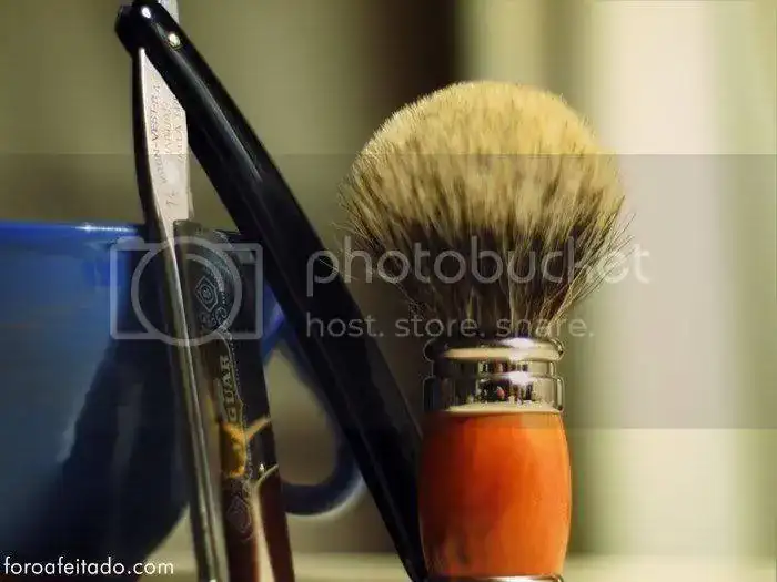 SOTD301211.webp