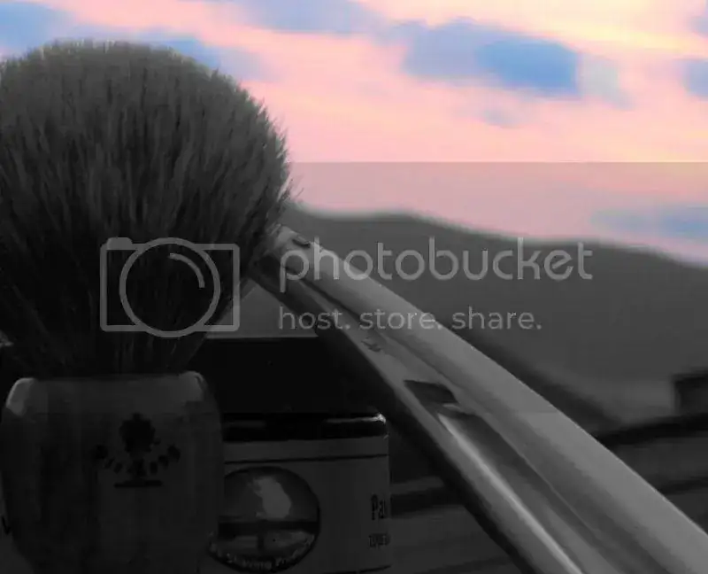sotd_2012_08_04.webp