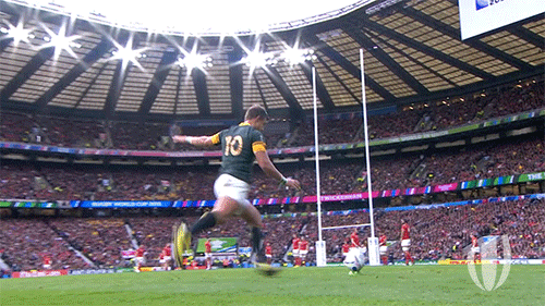 southafricapenaltykick.gif