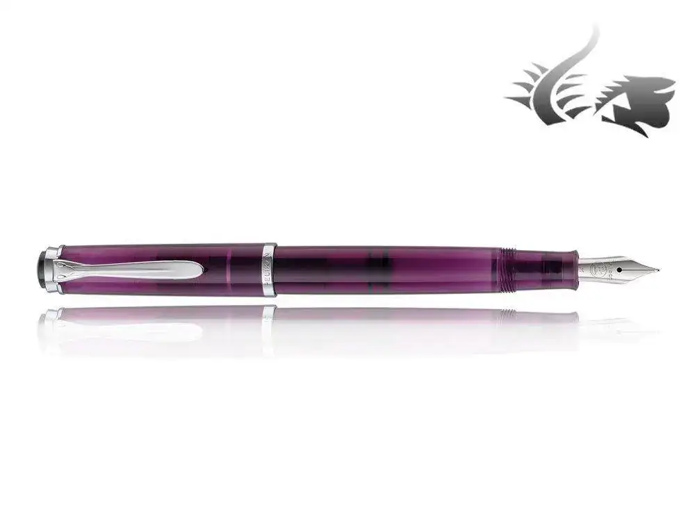 Special-Edition-Fountain-Pen-Silver-trim-969790--1.webp