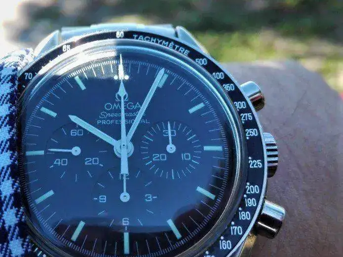 speedy (2).webp