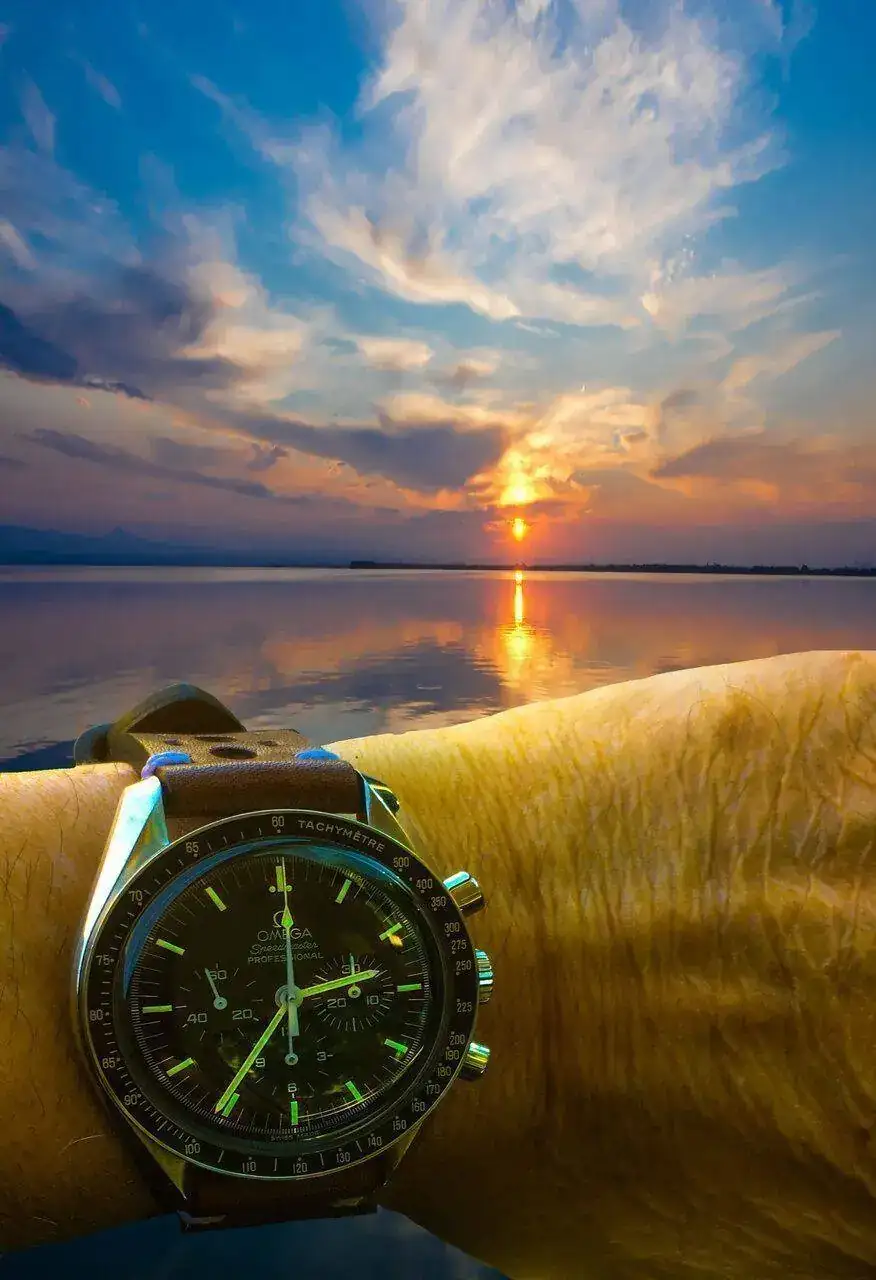 Speedy Albufera.webp