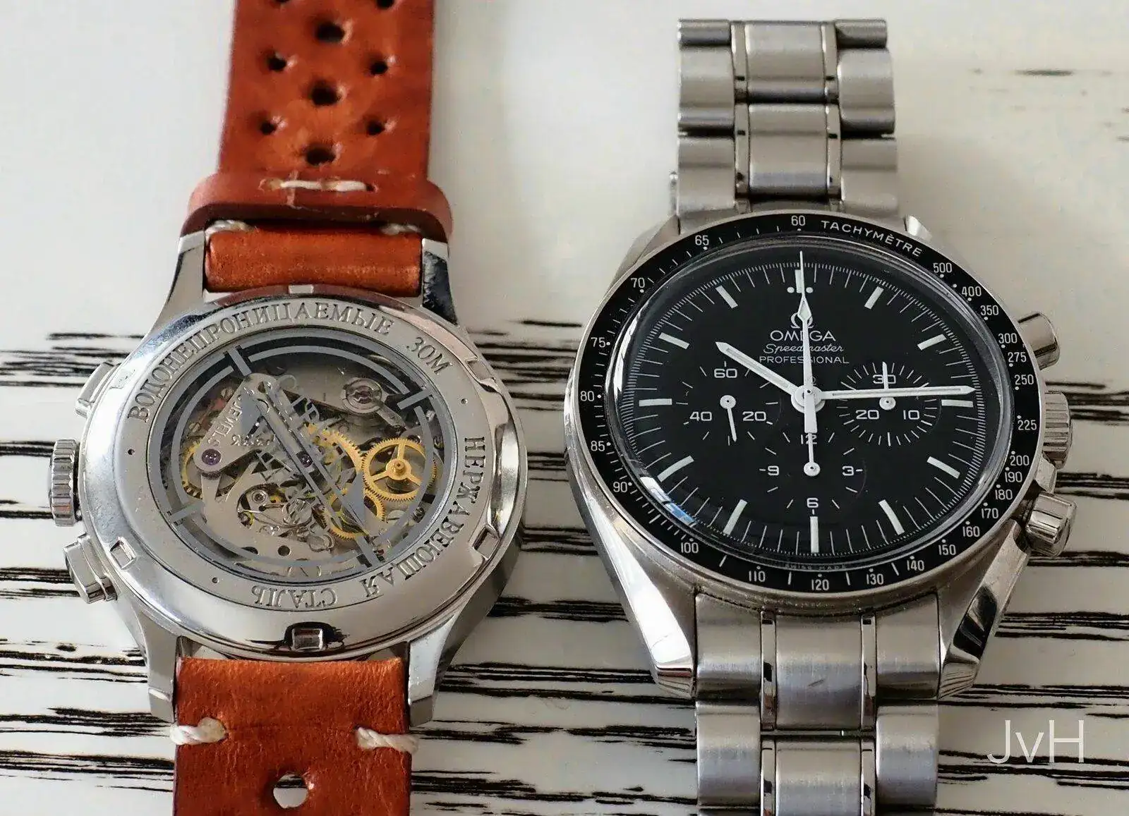 Speedy and Strela.webp