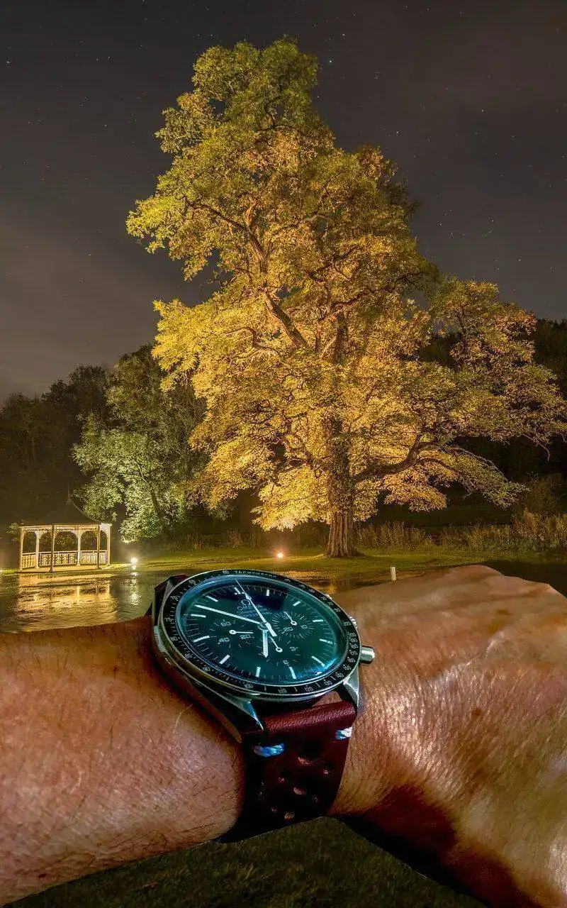 Speedy Arbol n.webp