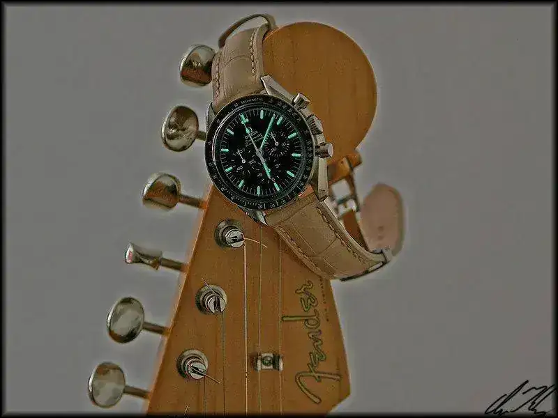 speedy-fender_800x600.webp
