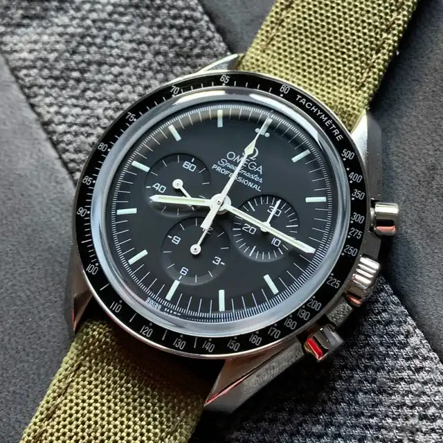 Speedy.webp