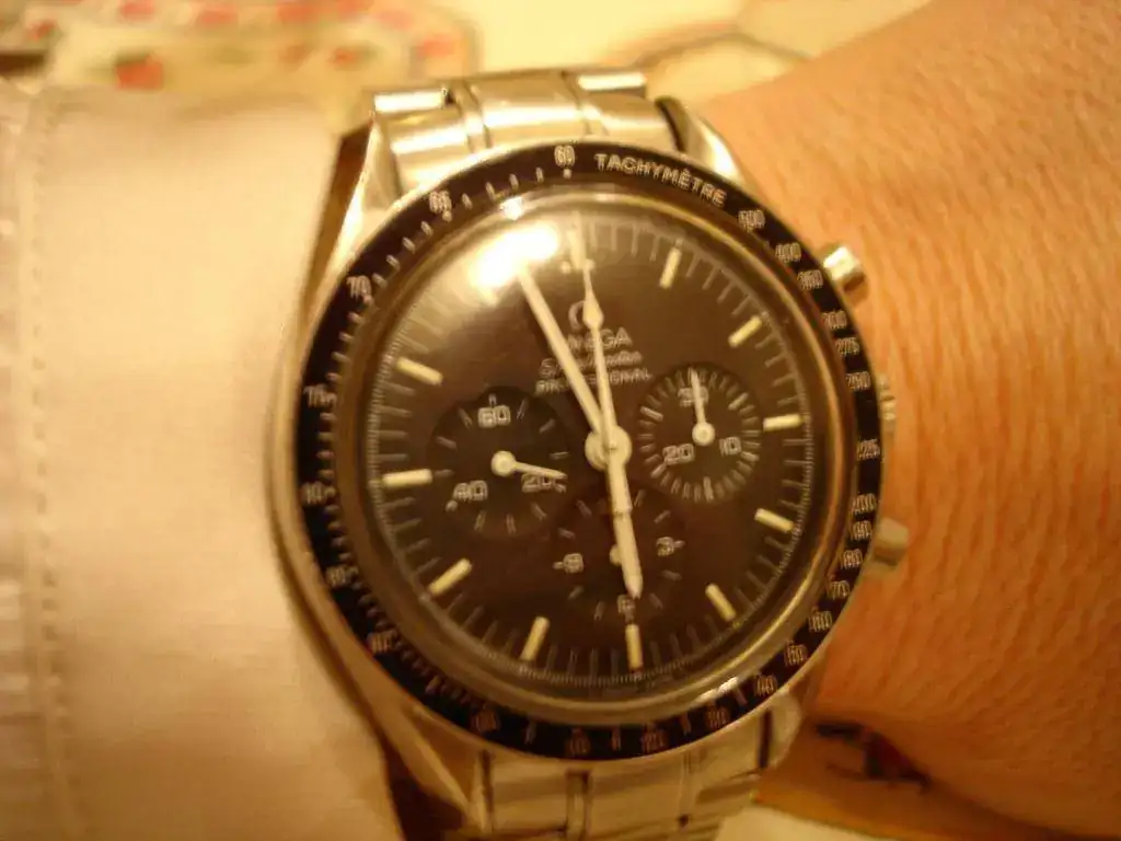 Speedy.webp