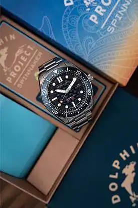 spinnaker2.webp
