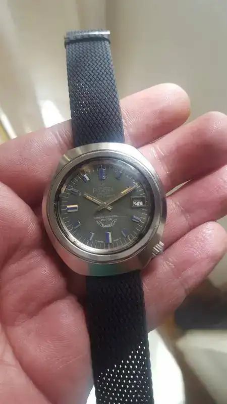 SQUALE.webp