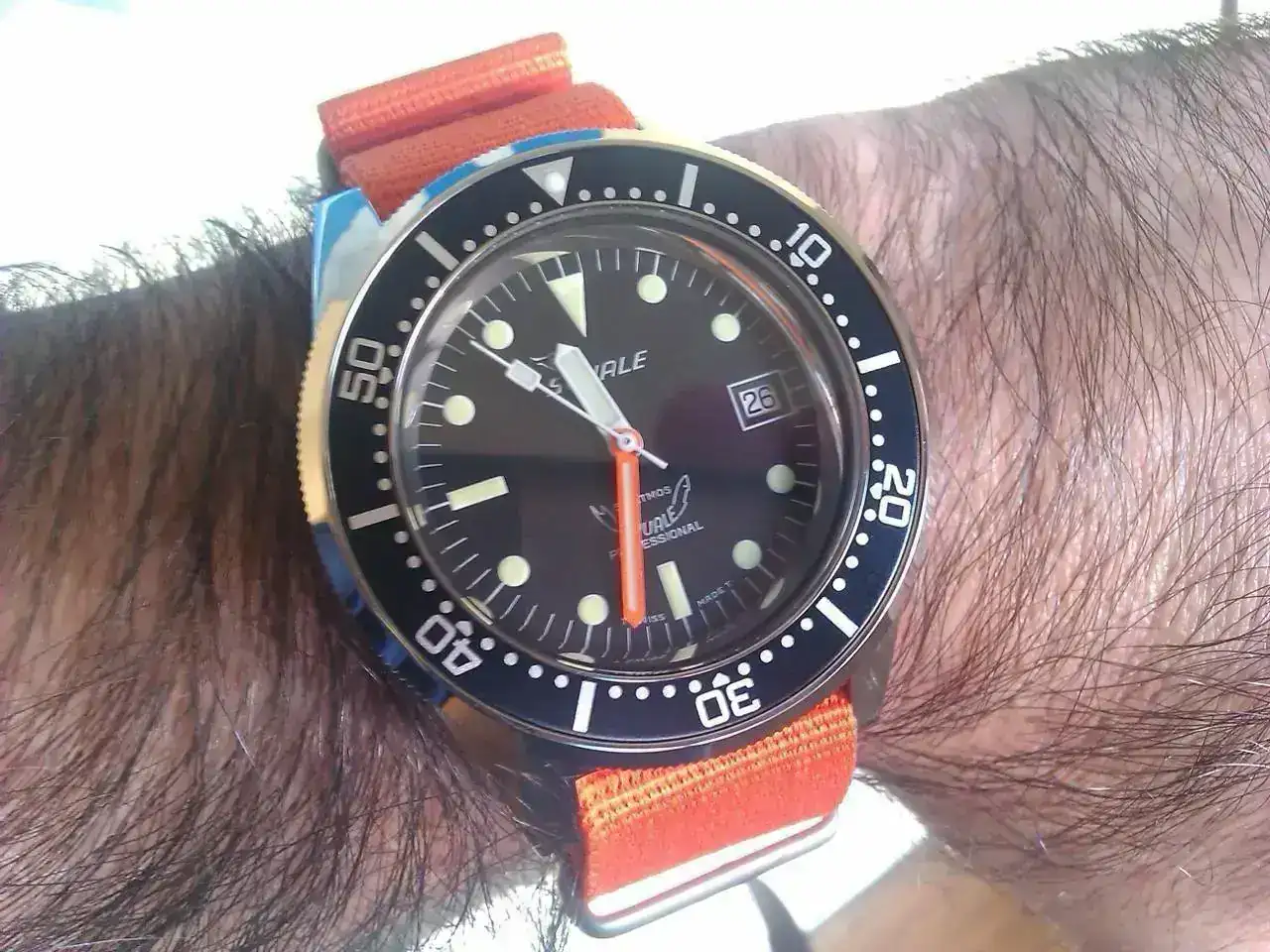 squale14.webp
