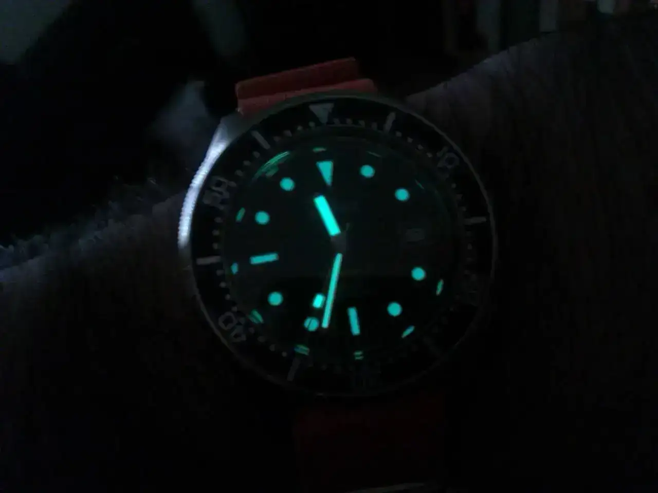 squale4.webp