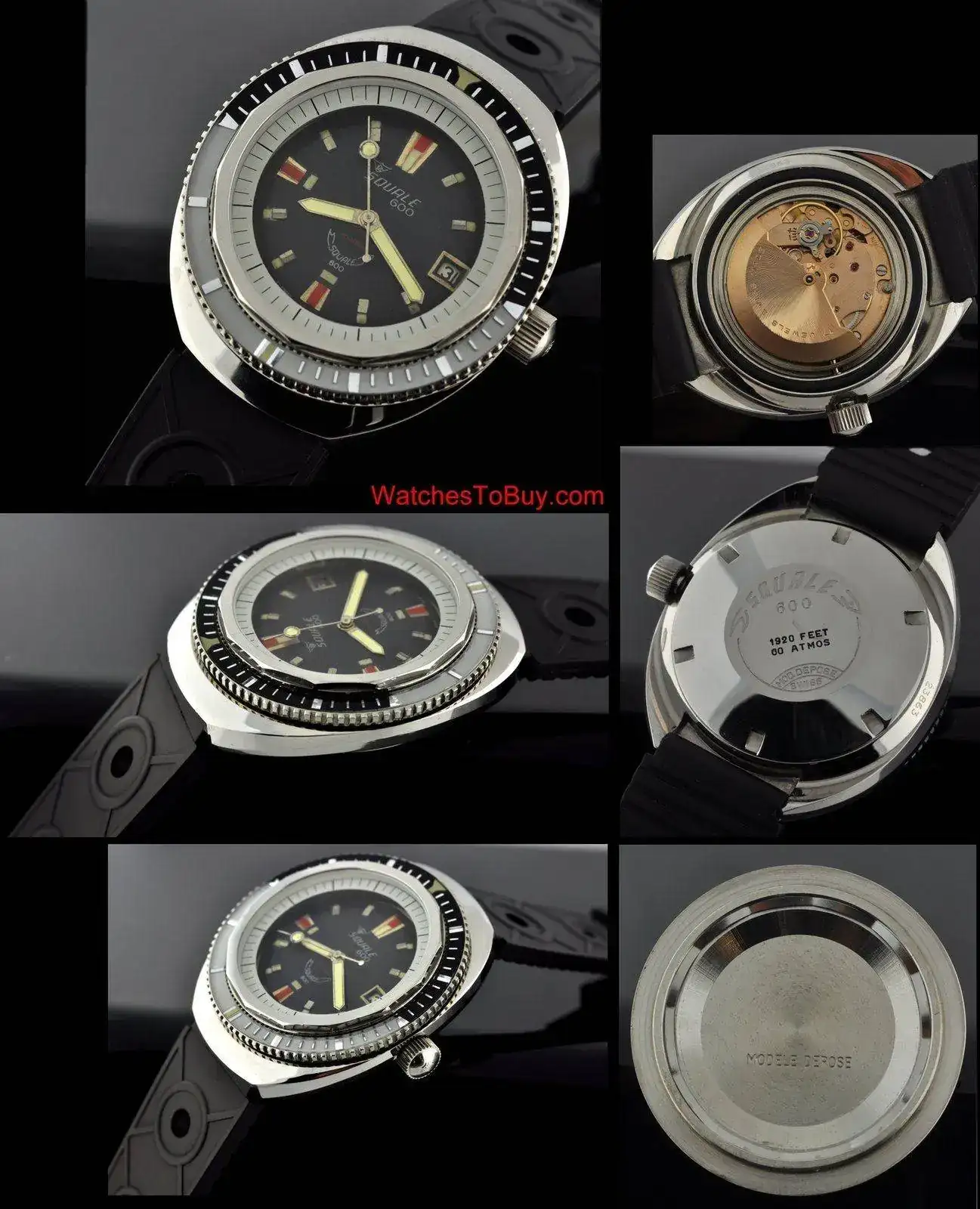 Squale600b.webp