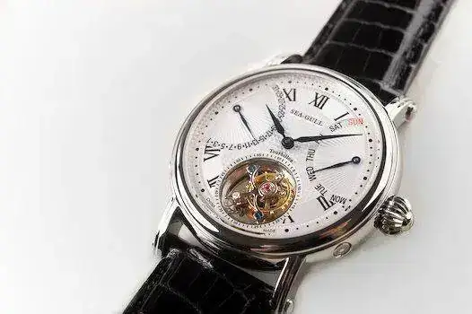 ST8004SA-1.webp