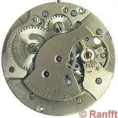 Standard_1686.webp