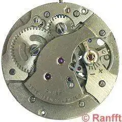 Standard_1686.webp