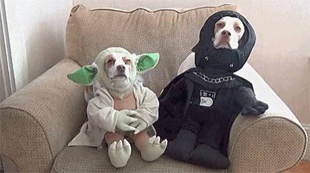 starwars-halloween-dog.gif