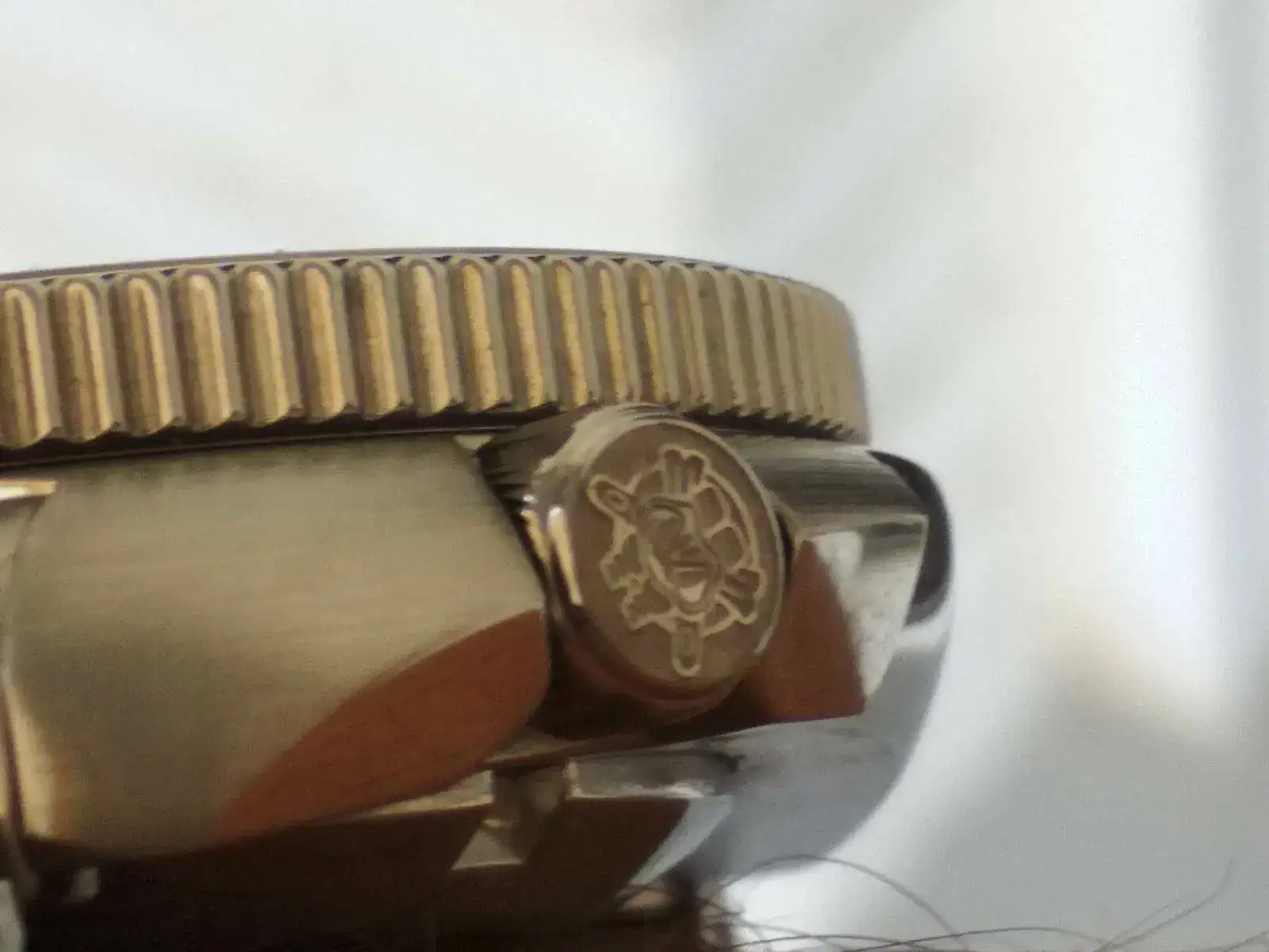 Steeldive SD 1970_20210813_132648.jpg