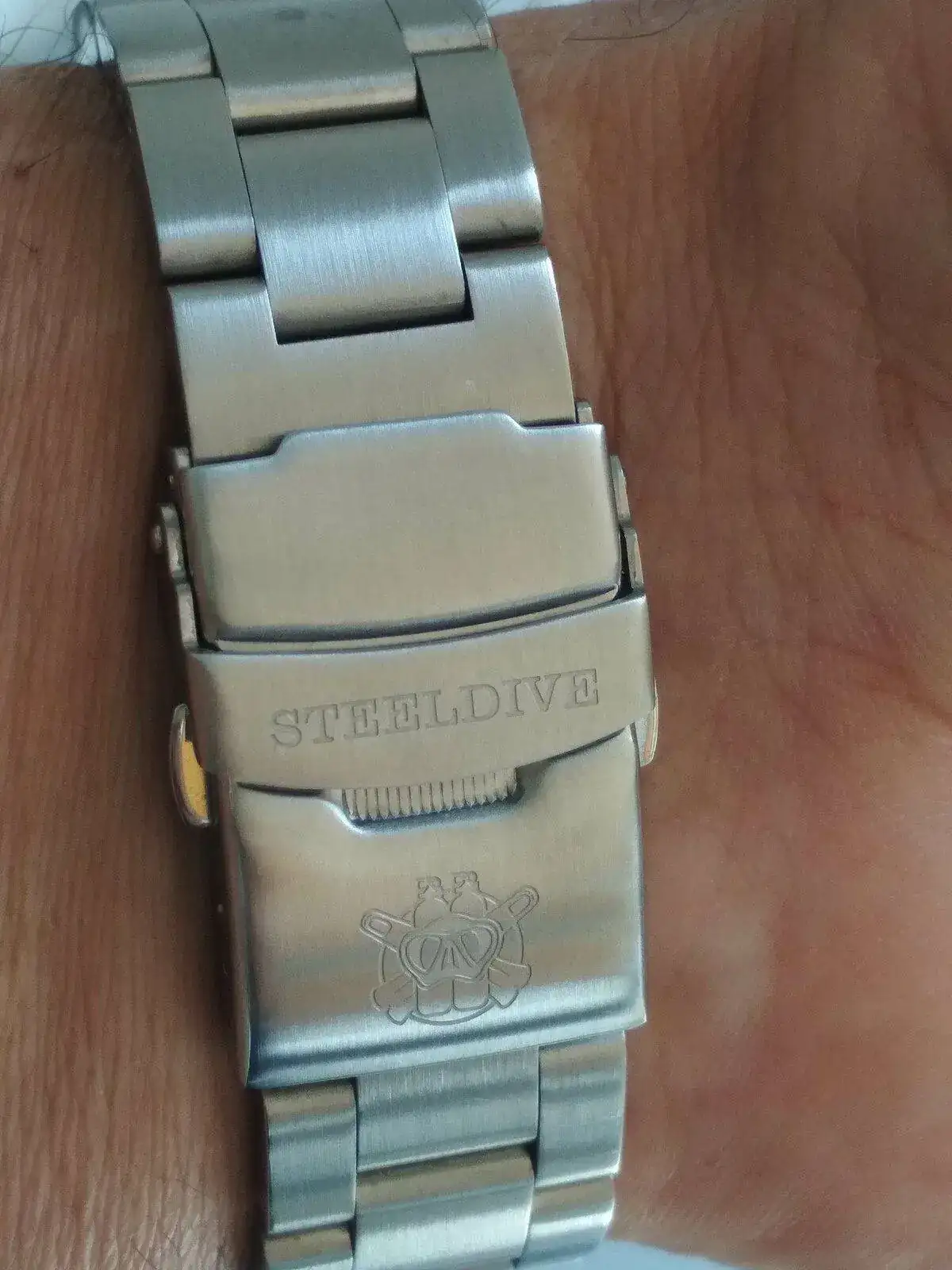 Steeldive SD 1970_20210813_132737.jpg