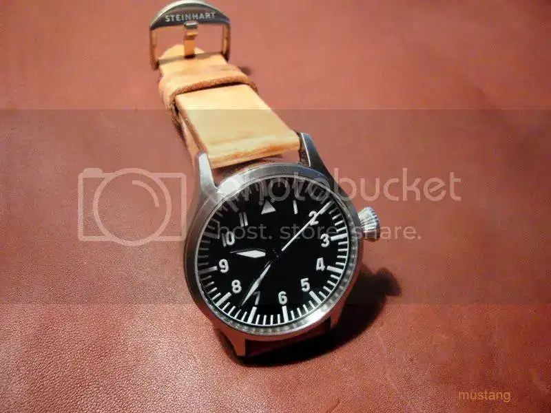STEIN006.webp