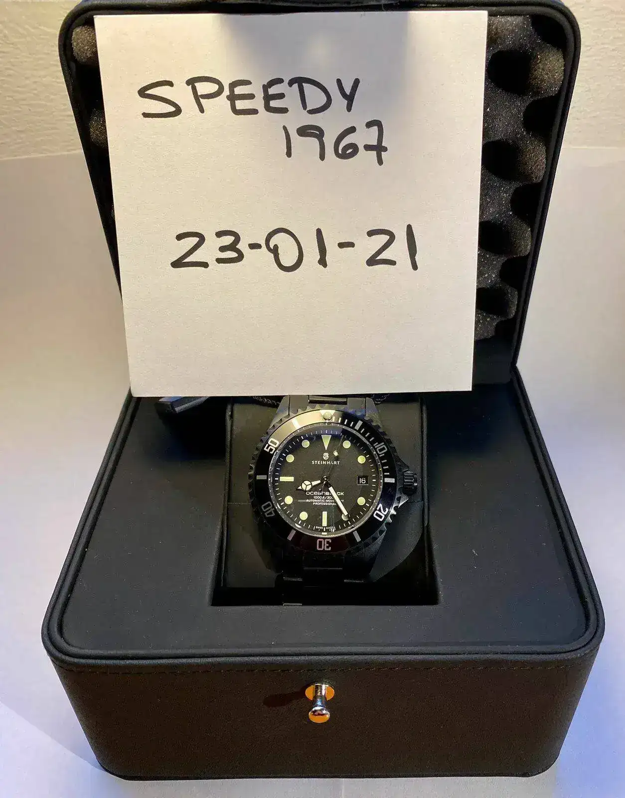 steinhart 4.webp