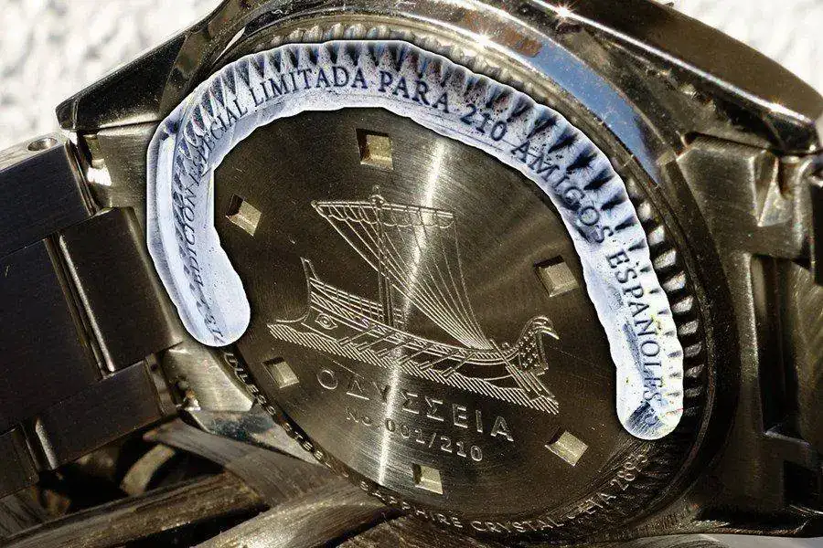 Steinhart-Odisea.webp