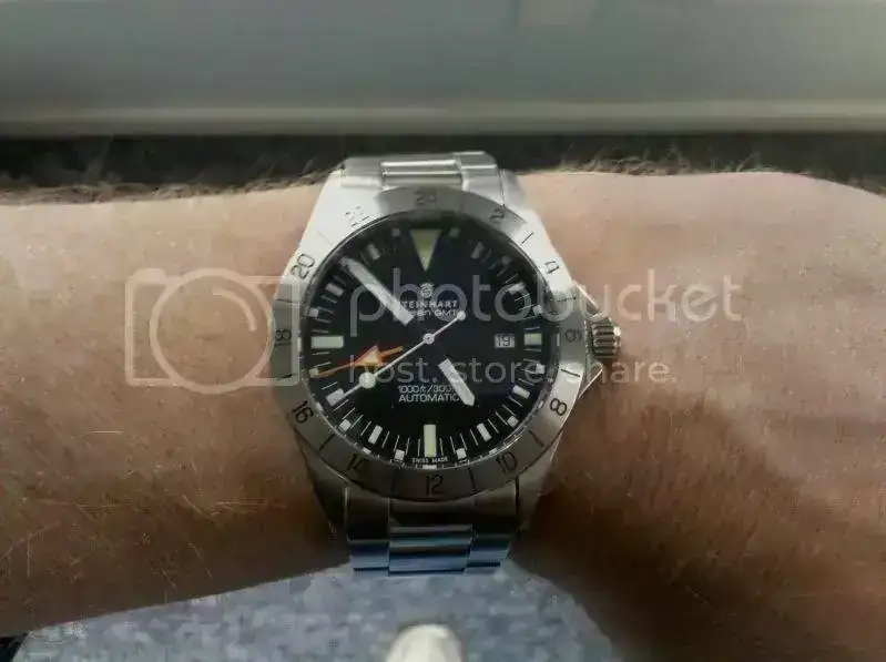 steinhart.webp