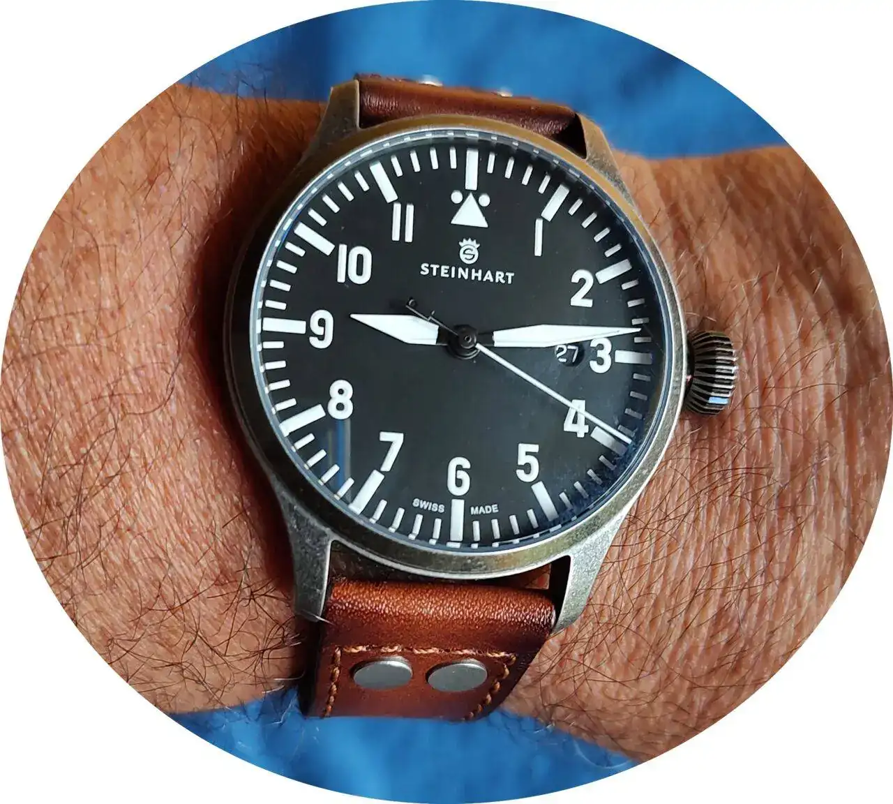 Steinhart.webp