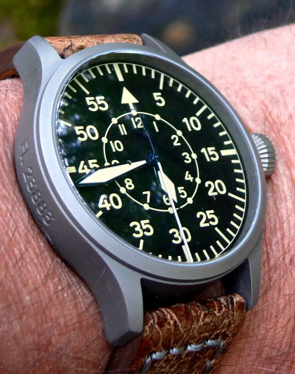 STEINHART.webp