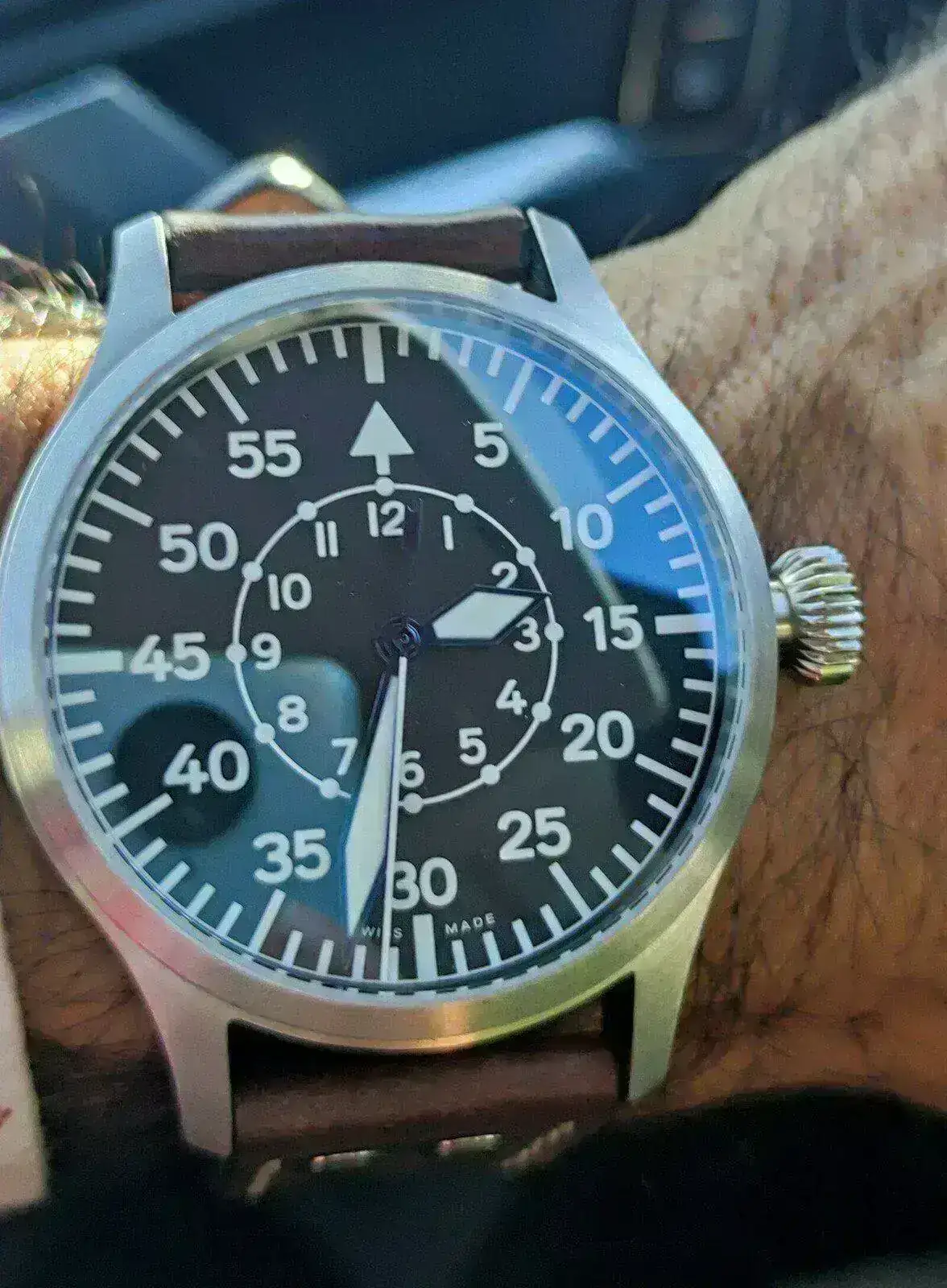 Steinhart.webp