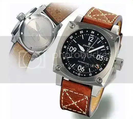 Steinhart.webp