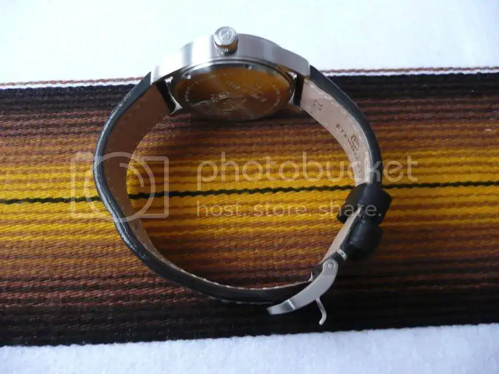 Steinhart2.webp