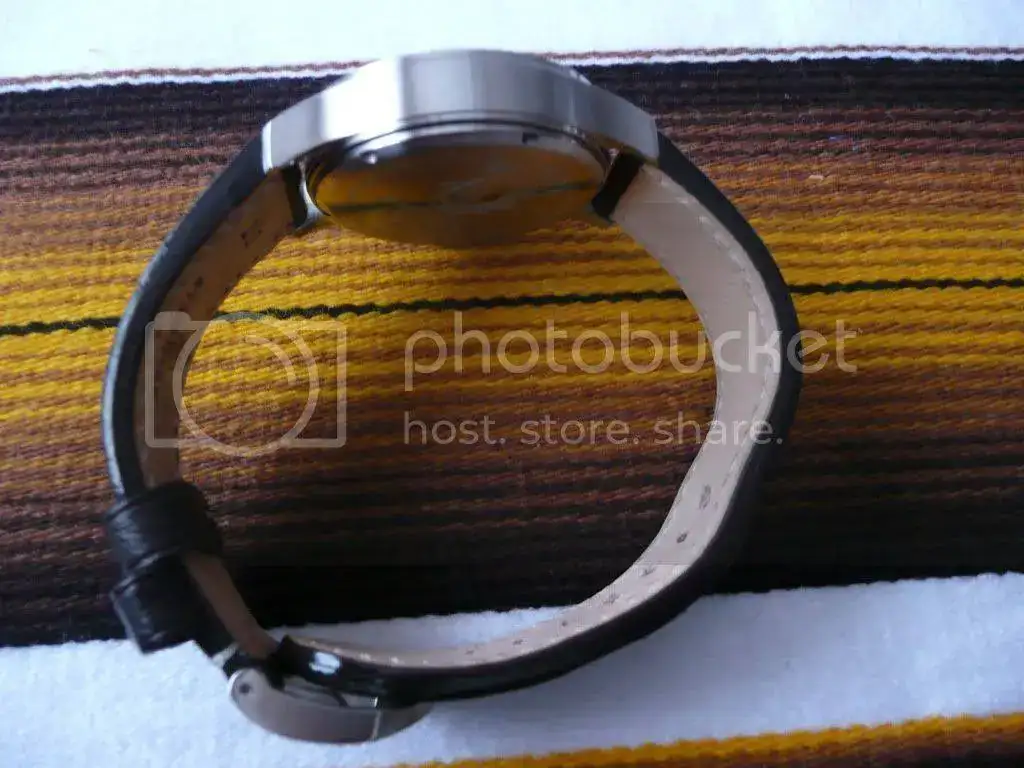 Steinhart3.webp