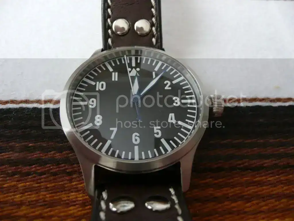 Steinhart5.webp